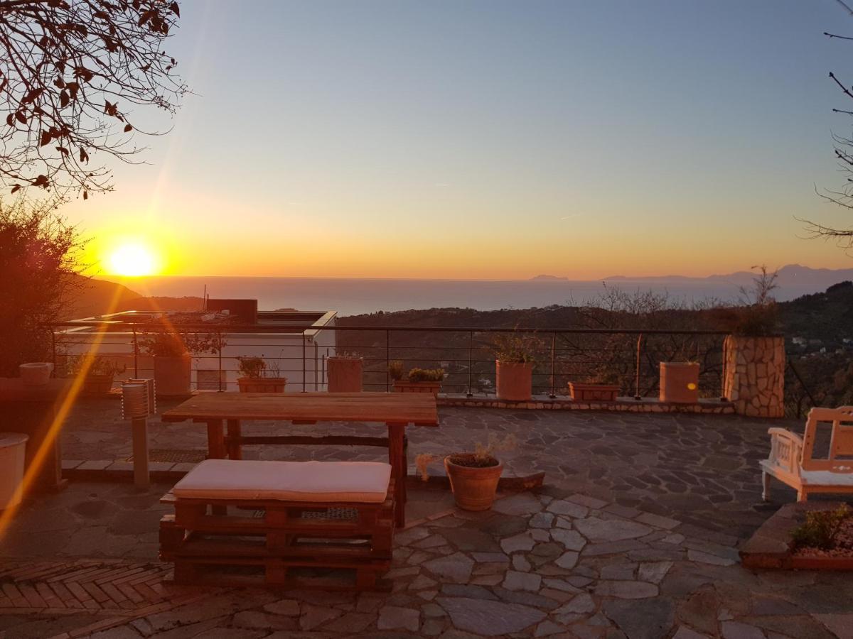 Il Giardino Di Armida